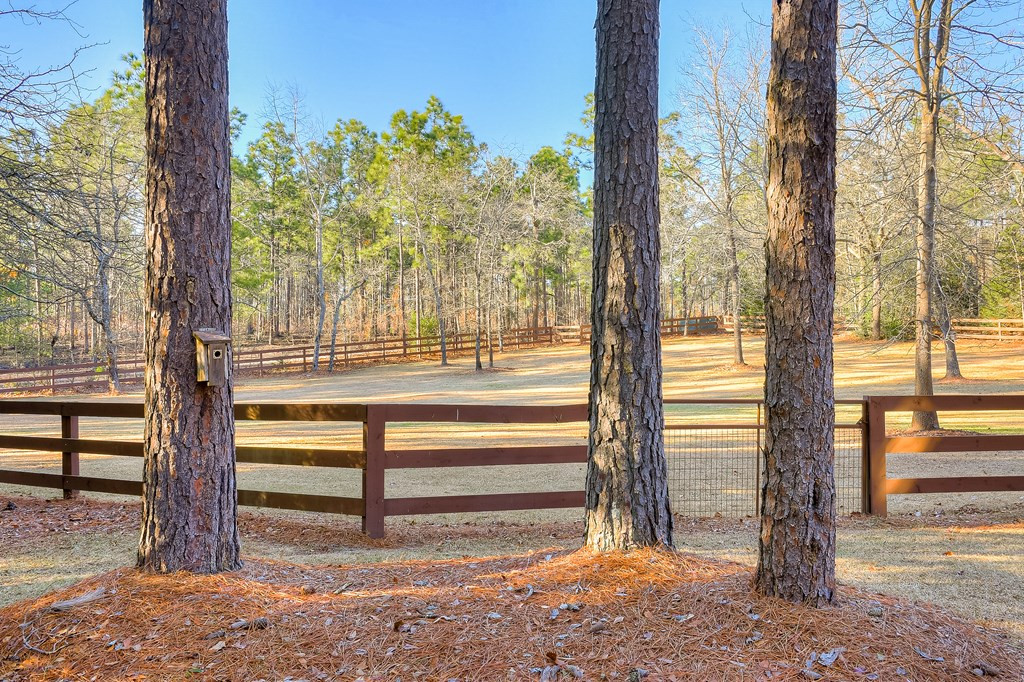127 Hasty Road Aiken, SC 29803 - Photo 44 of 47 Gallery Image 44