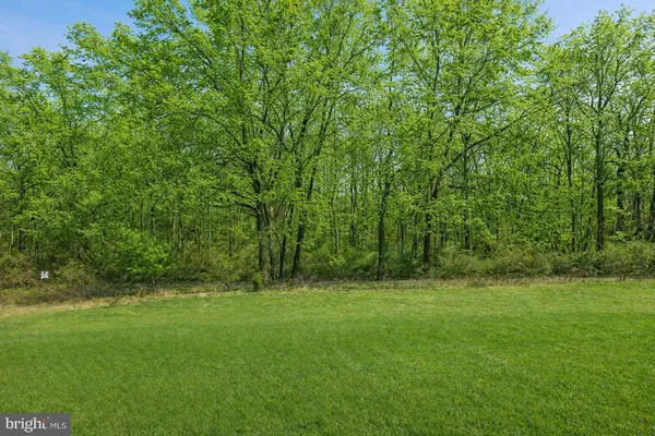 a view of outdoor space with green field and trees