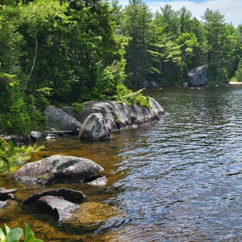 T4 Wadleigh Pond Road Millinocket, ME 04462 - Photo 11 of 38 Property shoreline