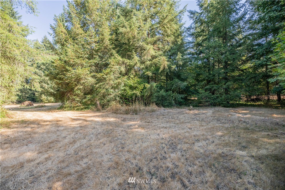 16832 Eugene Street Southwest Rochester, WA 98579 - Photo 34 of 40