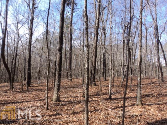 501 Spiva Road Temple, GA 30179 - Photo 1 of 1