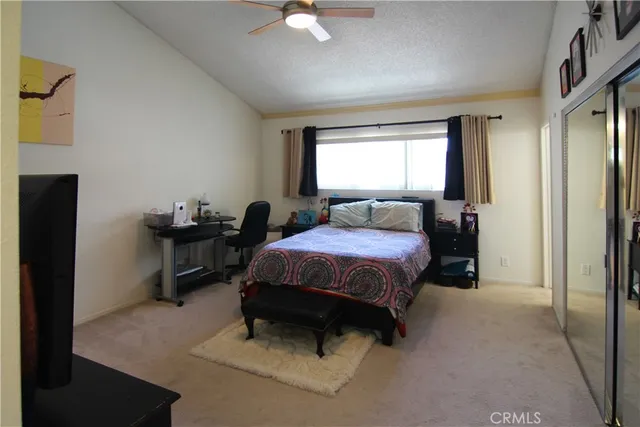 a view of a garden with flowers