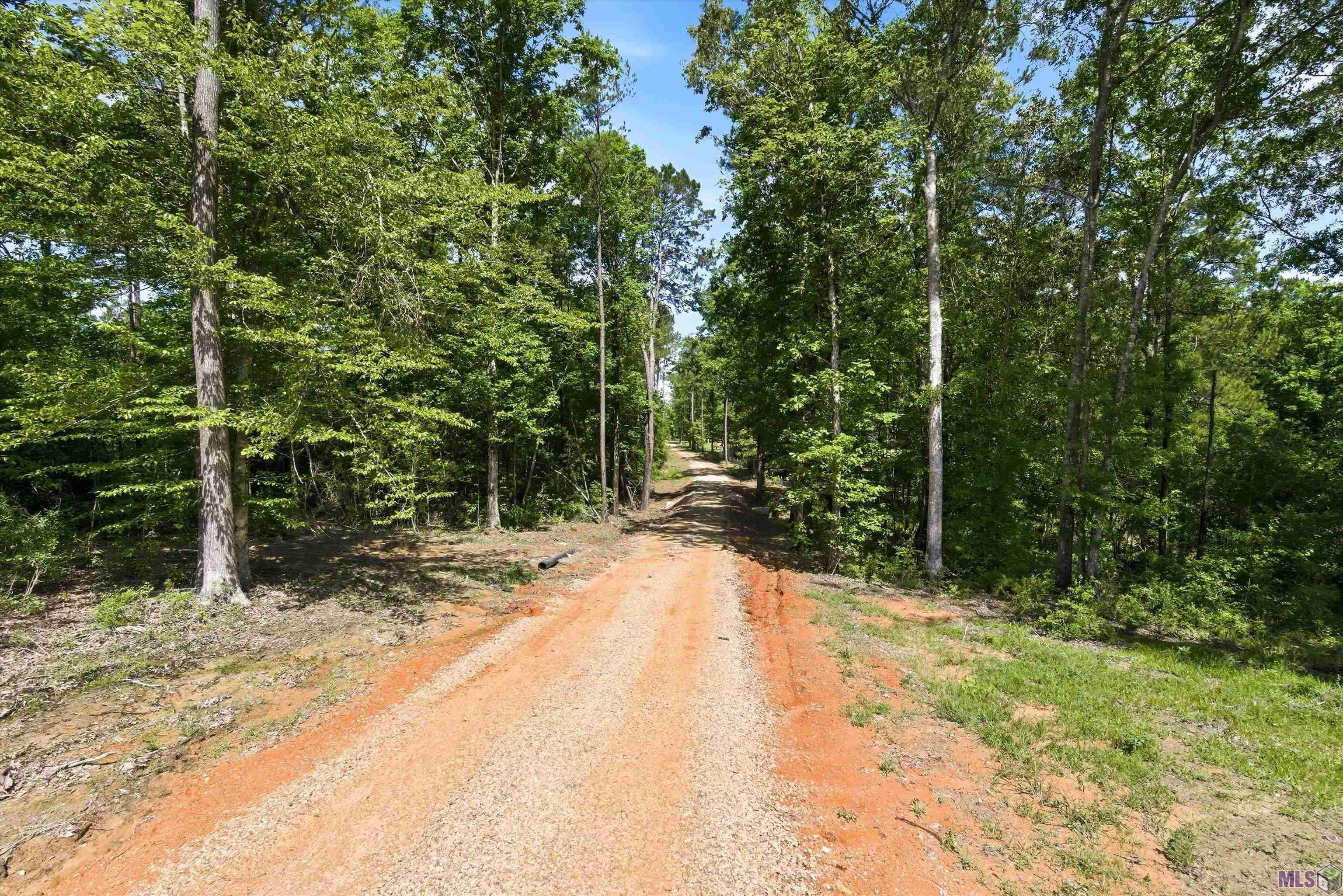 6257 Upper C C Road Clinton, LA 70722 - Photo 4 of 18