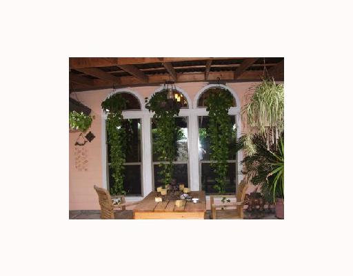 6825 Guinevere Street Corpus Christi, TX 78414 - Photo 10 of 10 a view of a living room with a large tree