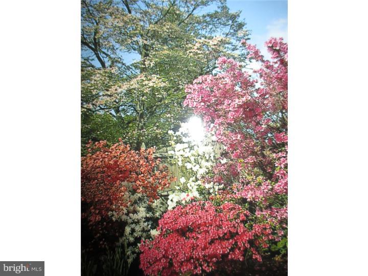 202 Merlin Road Phoenixville, PA 19460 - Photo 19 of 19 Gallery Image 19