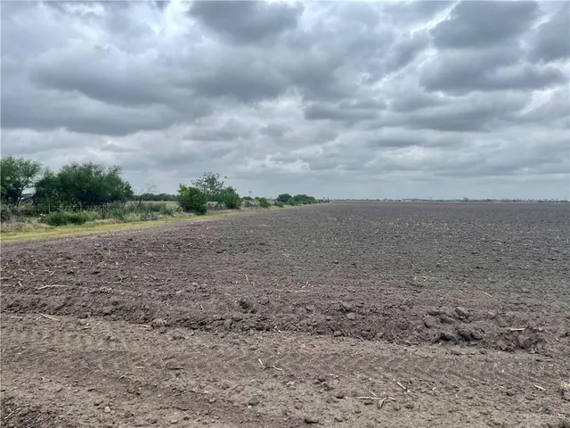 a view of a field with trees in background