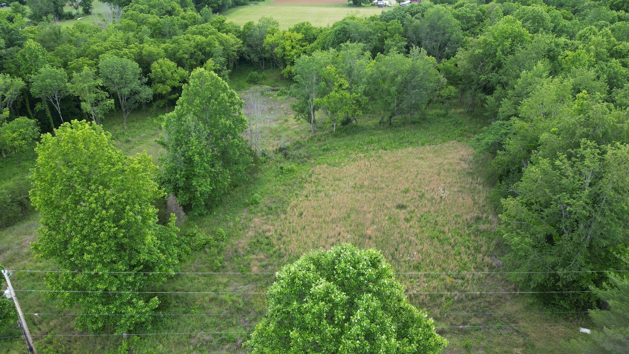 5 Poplar Ridge Lane Chapmansboro, TN 37035 - Photo 13 of 34 a view of a lush green forest