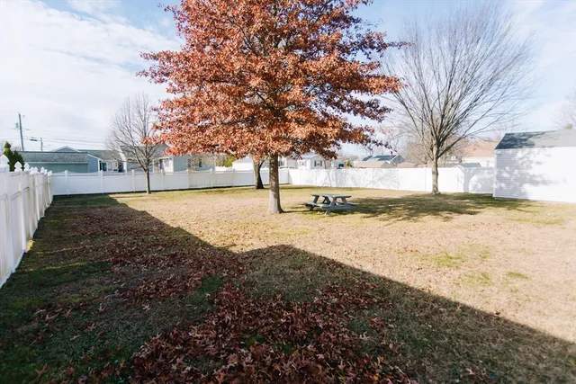 a view of yard with trees