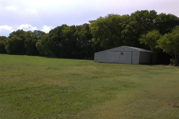 a view of a big yard with a large tree