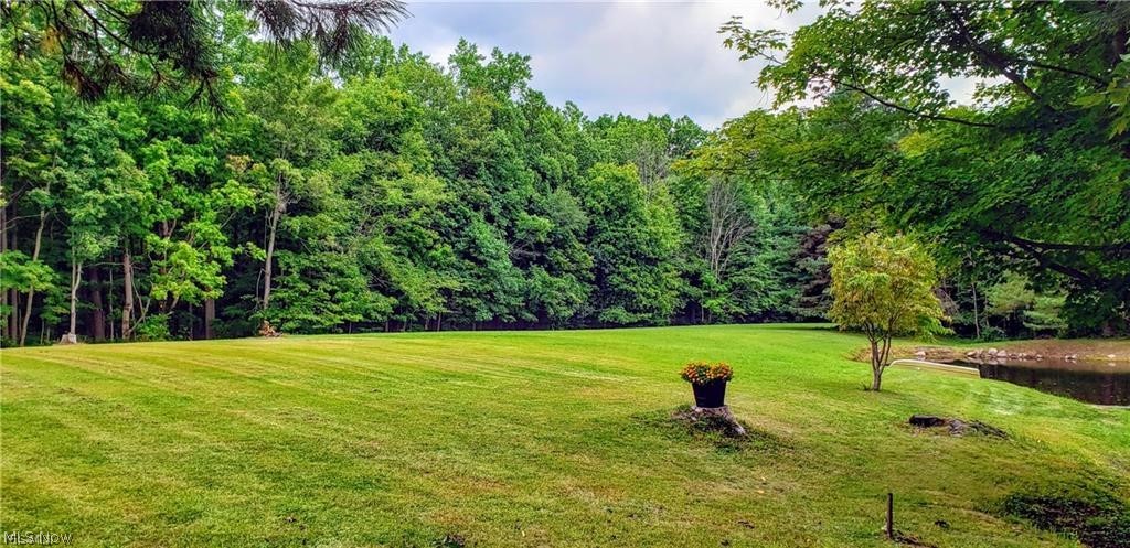 4170 Hamilton Road Medina, OH 44256 - Photo 26 of 32 Acreage
