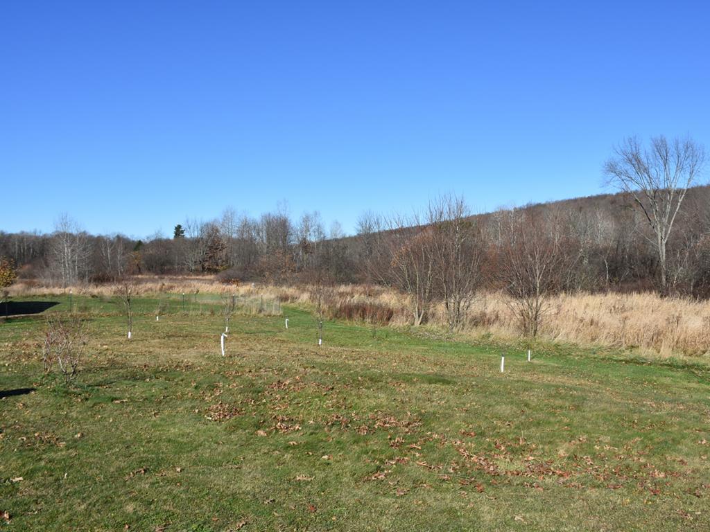 23214 Jericho Road Edinboro, PA 16412 - Photo 24 of 25 Gallery Image 24