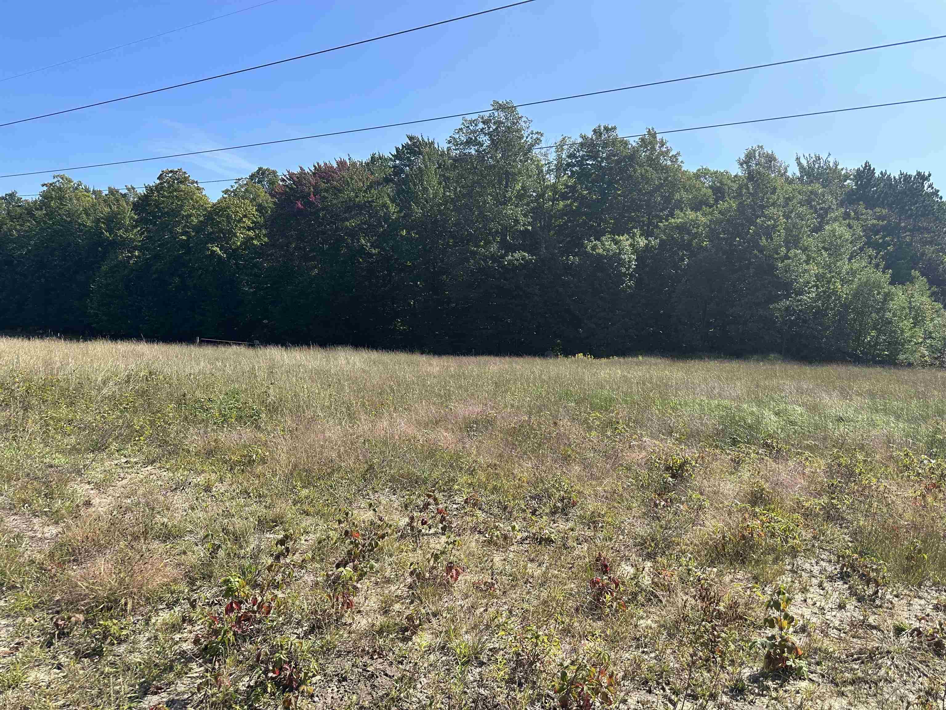0 Viaduct Road Copemish, MI 49625 - Photo 6 of 19
