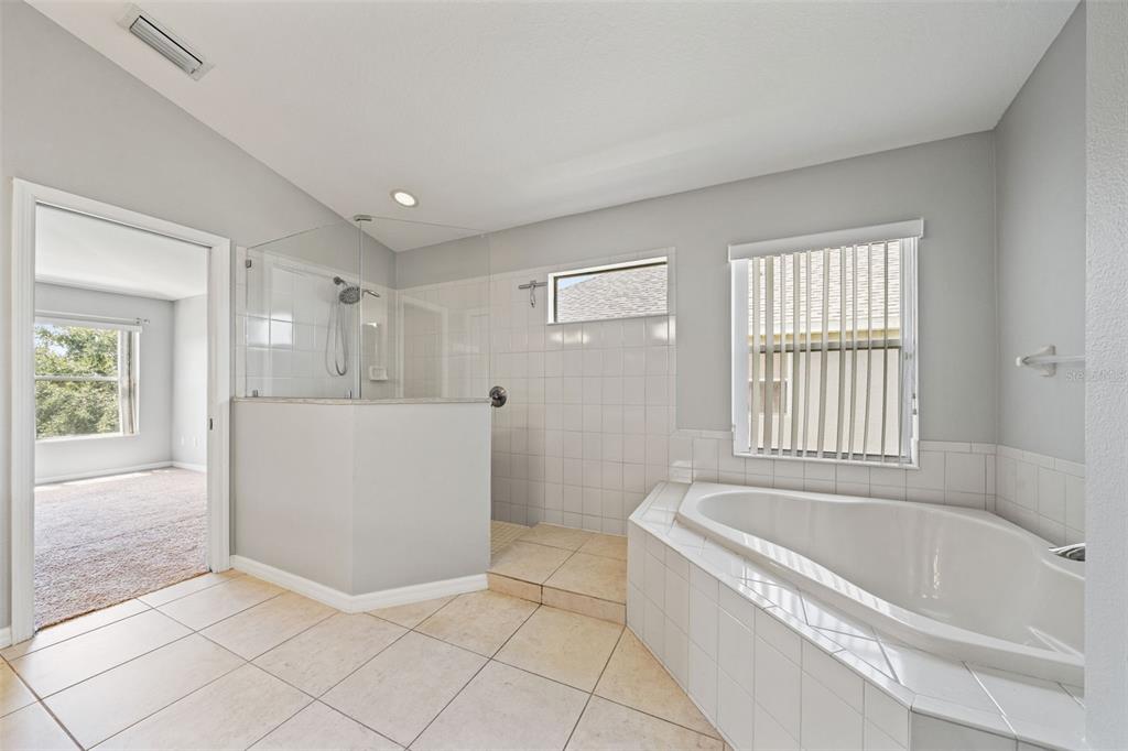 10909 Observatory Way Tampa, FL 33647 - Photo 24 of 39 a bathroom with a bathtub a sink a window and a shower