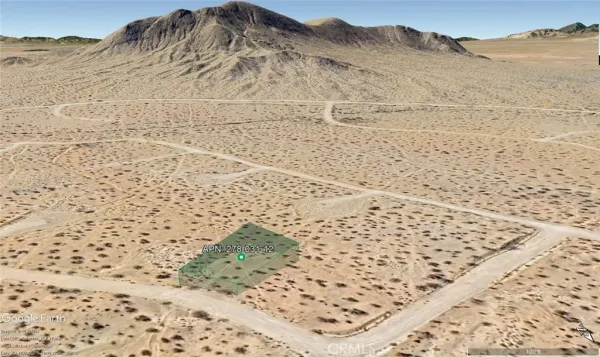 a view of a dry yard
