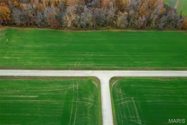 $55,000 | 320 Bertha E Dumey Drive, Benton, MO 63736