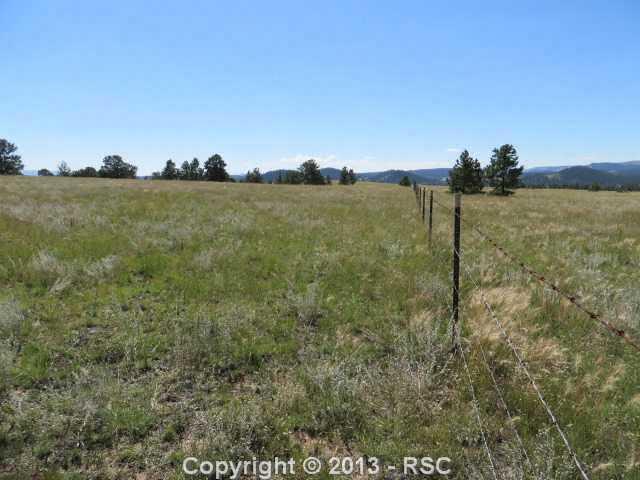 86 Doe Valley Road Guffey, CO 80820 - Photo 10 of 25 View from front looking toward crest