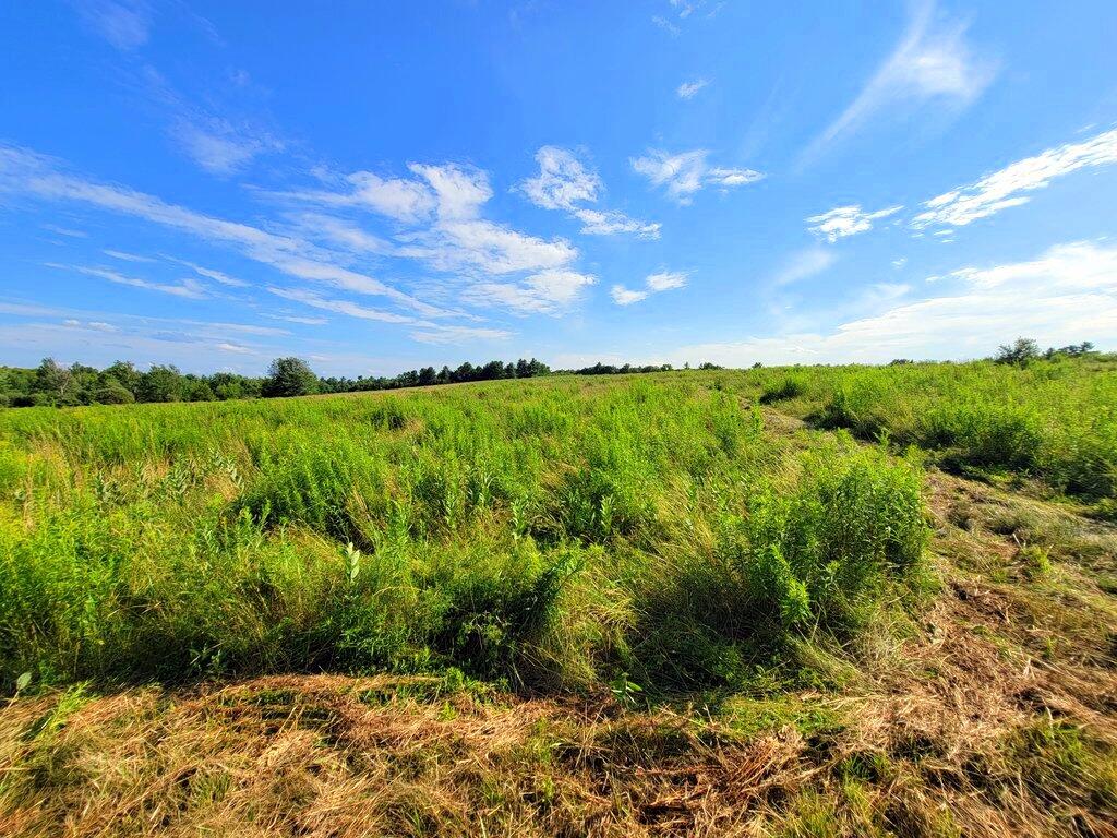 Lot 2 East Road Chesterville, ME 04938 - Photo 39 of 39 20240718_164404