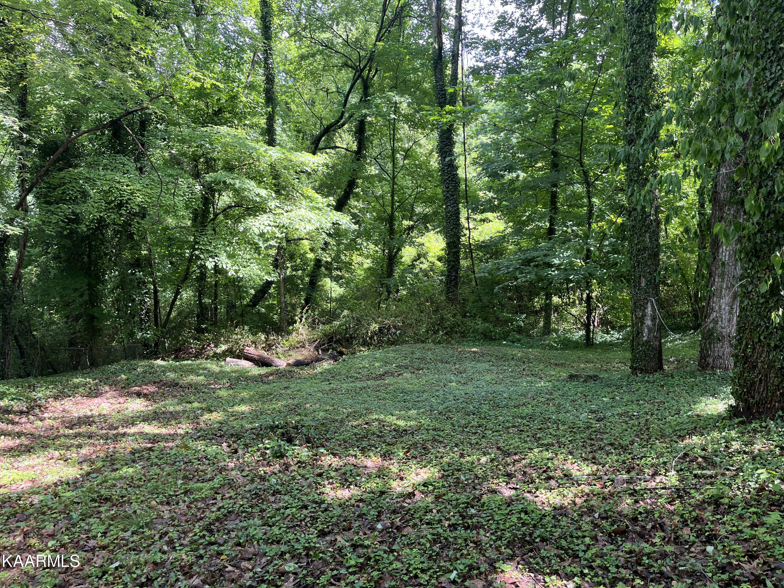 540 West Outer Drive Oak Ridge, TN 37830 - Photo 18 of 25 IMG_0830