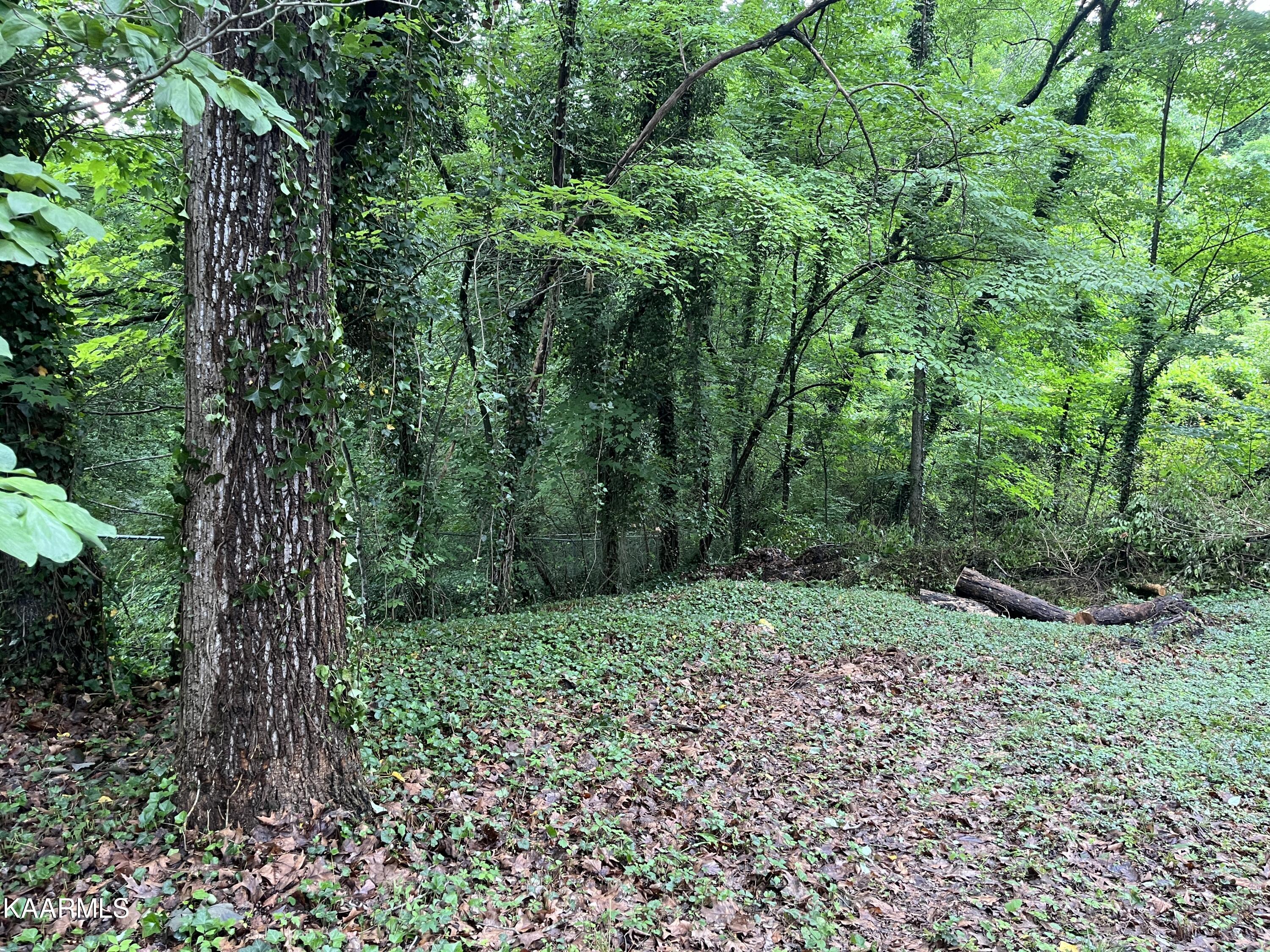 540 West Outer Drive Oak Ridge, TN 37830 - Photo 23 of 25 IMG_0839