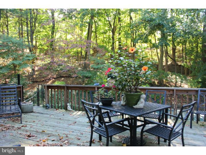 501 Candace Lane Villanova, PA 19085 - Photo 7 of 21 Gallery Image 7