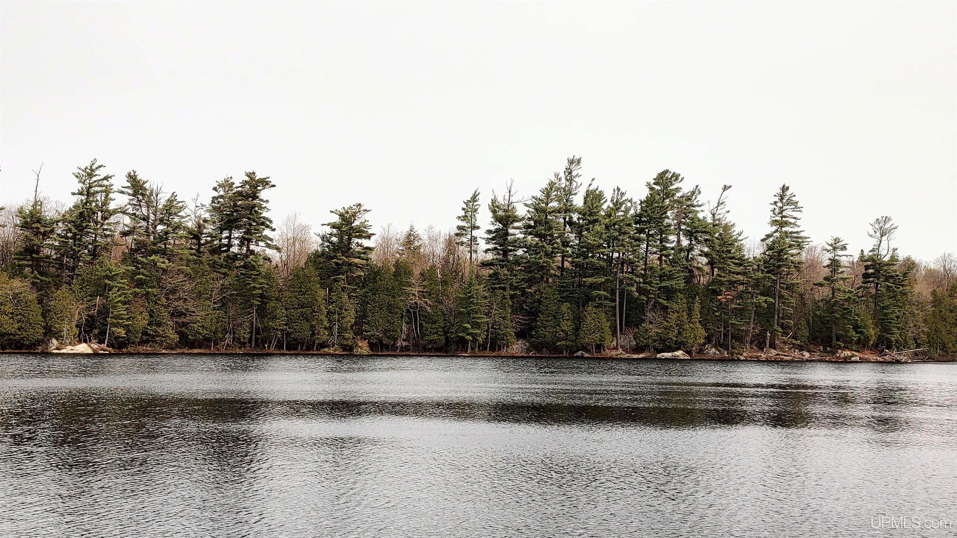 Tbd Tbd Durchman Lake Road Lanse, MI 49946 - Photo 21 of 56