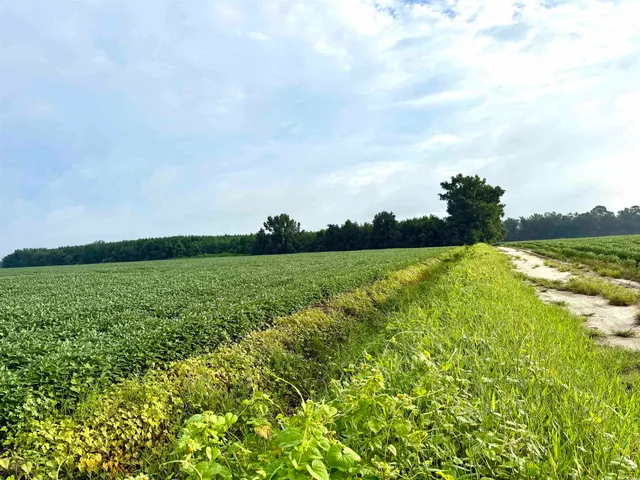 $962,500 | 1335 County Road 43-150, Olanta, SC 29114