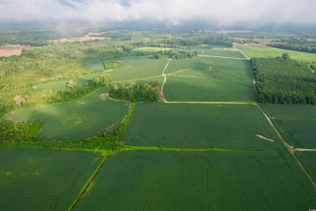 $962,500 | 1335 County Road 43-150, Olanta, SC 29114