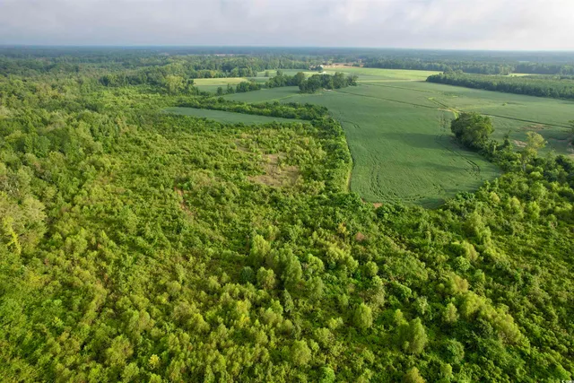 $962,500 | 1335 County Road 43-150, Olanta, SC 29114