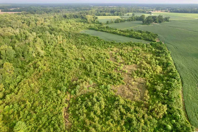 $962,500 | 1335 County Road 43-150, Olanta, SC 29114