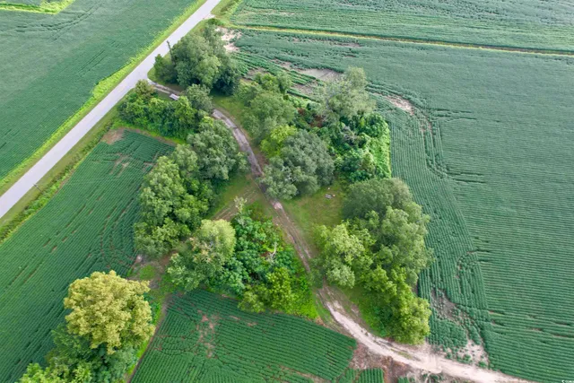 $962,500 | 1335 County Road 43-150, Olanta, SC 29114