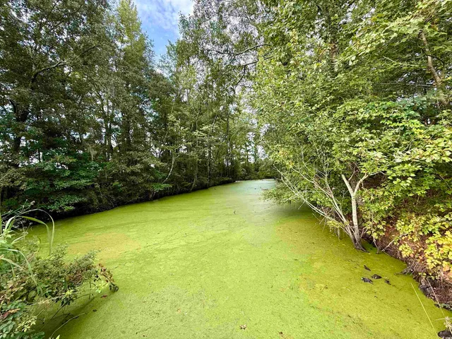 $962,500 | 1335 County Road 43-150, Olanta, SC 29114