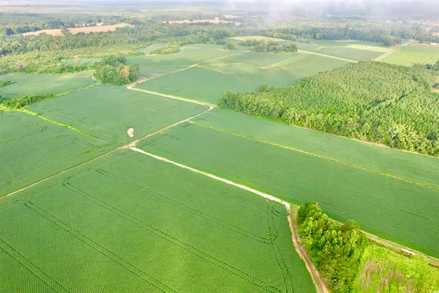 $962,500 | 1335 County Road 43-150, Olanta, SC 29114