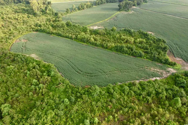 $962,500 | 1335 County Road 43-150, Olanta, SC 29114