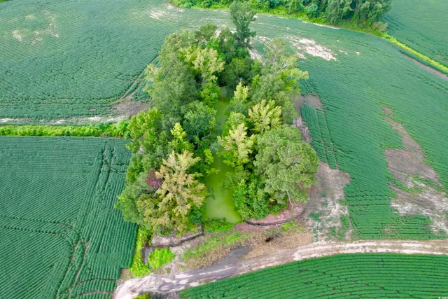 $962,500 | 1335 County Road 43-150, Olanta, SC 29114