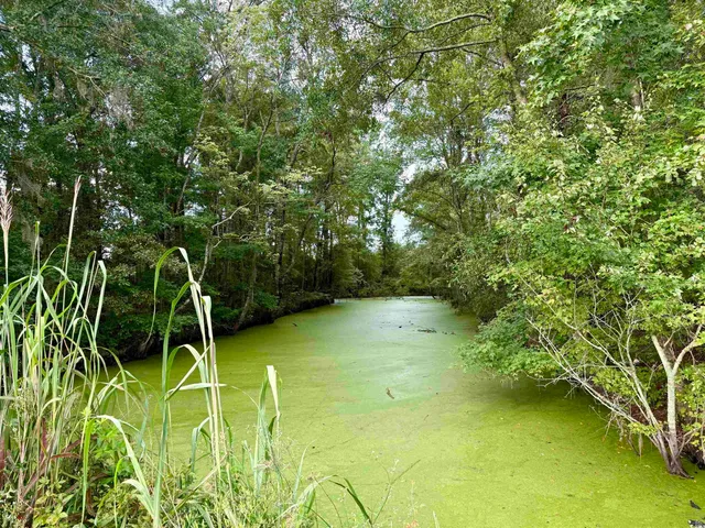 $962,500 | 1335 County Road 43-150, Olanta, SC 29114