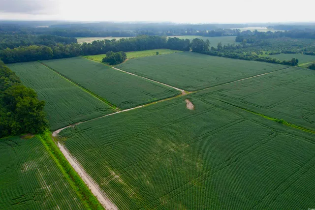 $962,500 | 1335 County Road 43-150, Olanta, SC 29114