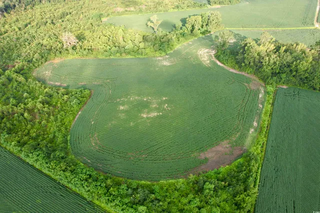 $962,500 | 1335 County Road 43-150, Olanta, SC 29114