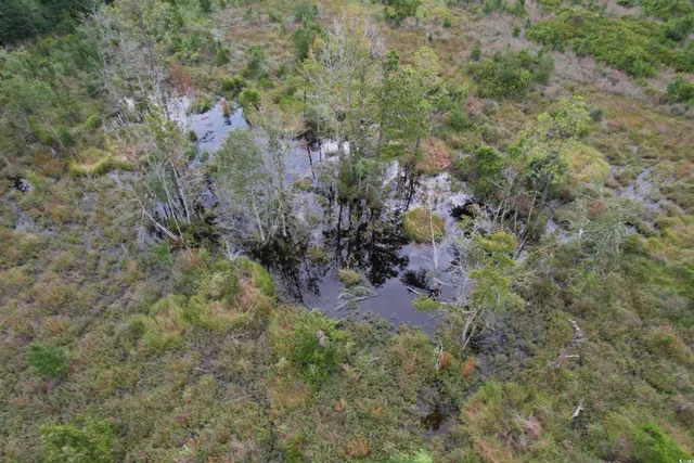 $962,500 | 1335 County Road 43-150, Olanta, SC 29114