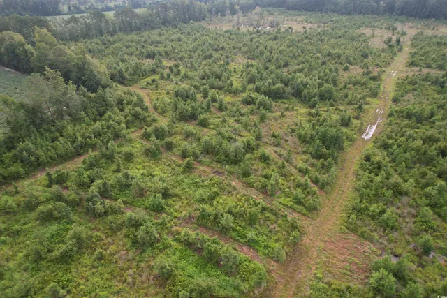 $962,500 | 1335 County Road 43-150, Olanta, SC 29114