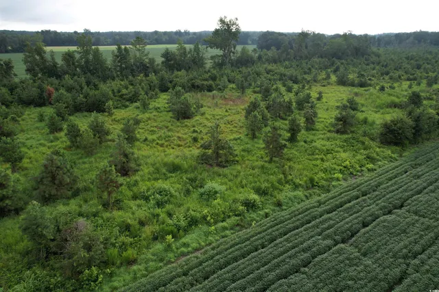 $962,500 | 1335 County Road 43-150, Olanta, SC 29114