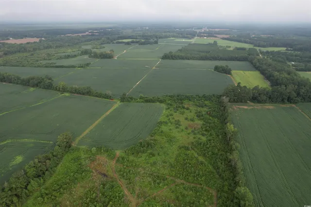 $962,500 | 1335 County Road 43-150, Olanta, SC 29114