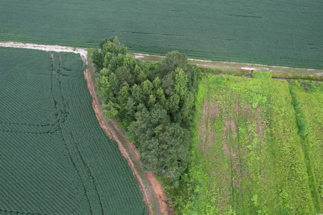 $962,500 | 1335 County Road 43-150, Olanta, SC 29114