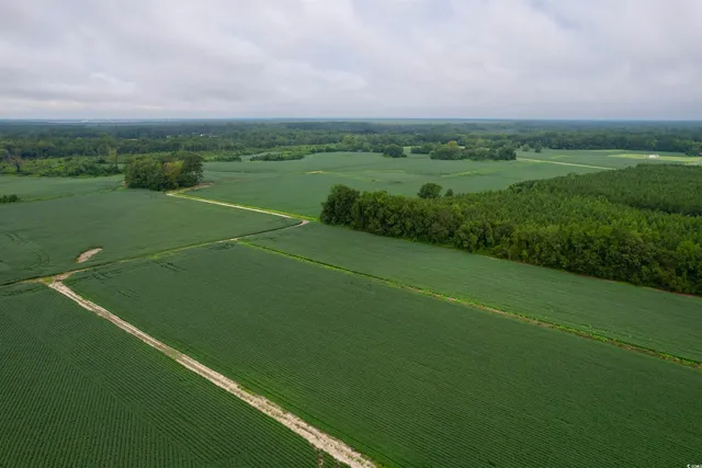 $962,500 | 1335 County Road 43-150, Olanta, SC 29114