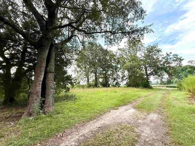 $962,500 | 1335 County Road 43-150, Olanta, SC 29114