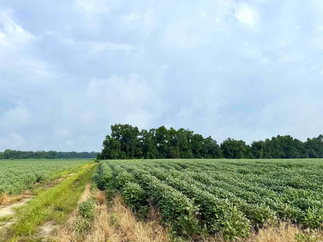 $962,500 | 1335 County Road 43-150, Olanta, SC 29114