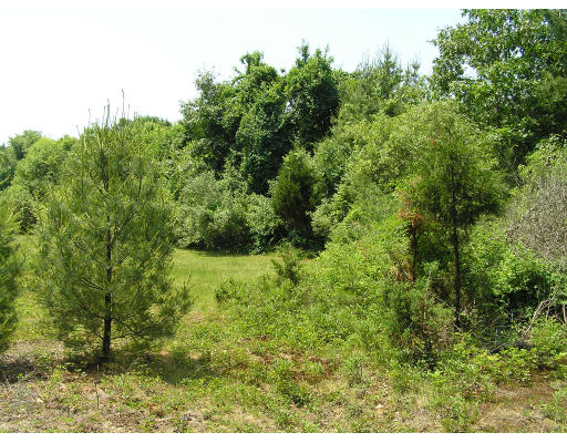 Lot #2 Rounseville Road Rochester, MA 02770 - Photo 1 of 1 Gallery Image 1