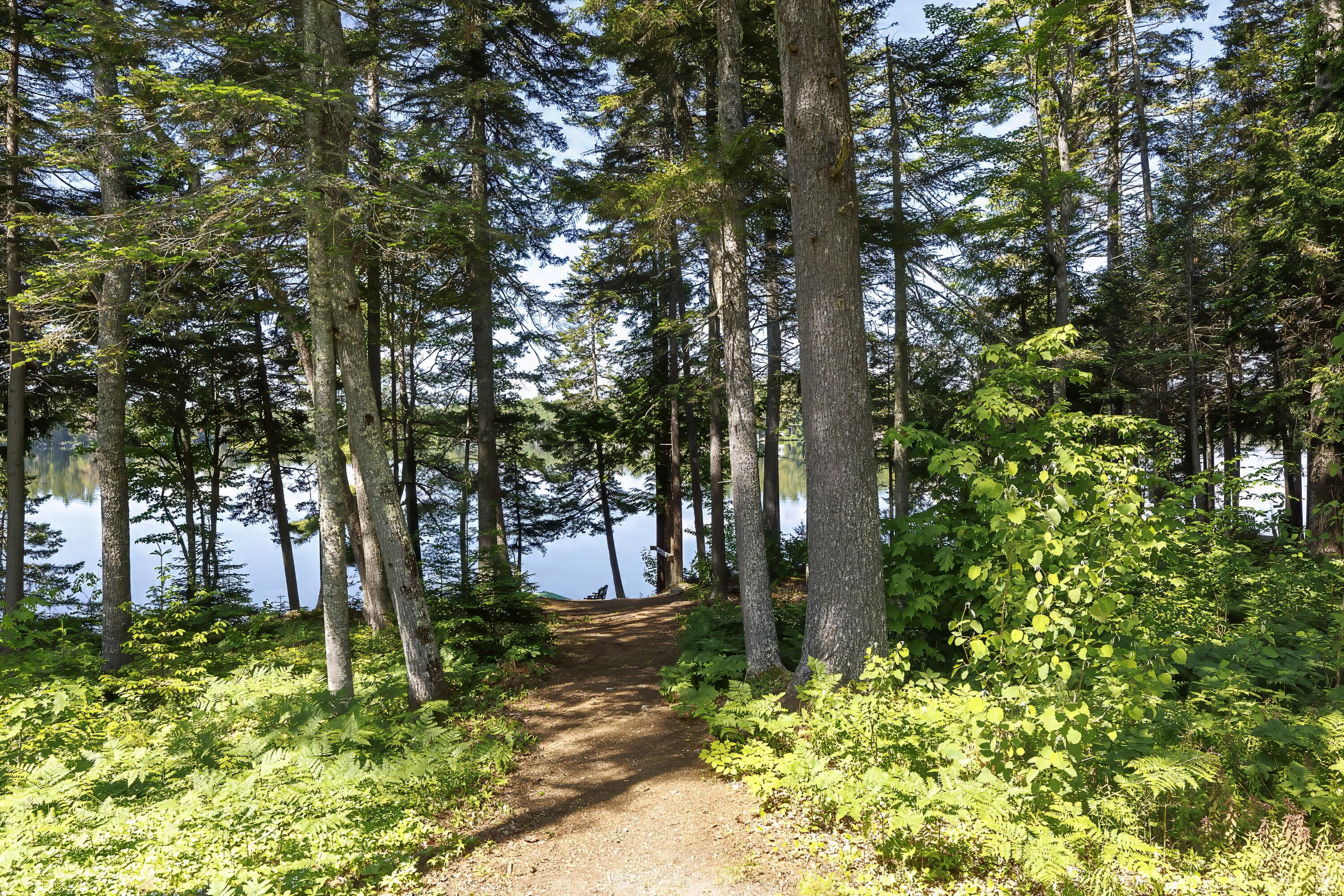 162 Georges Pond Road Franklin, ME 04634 - Photo 38 of 86 52-162 Georges Pond Road HiRes-DTP