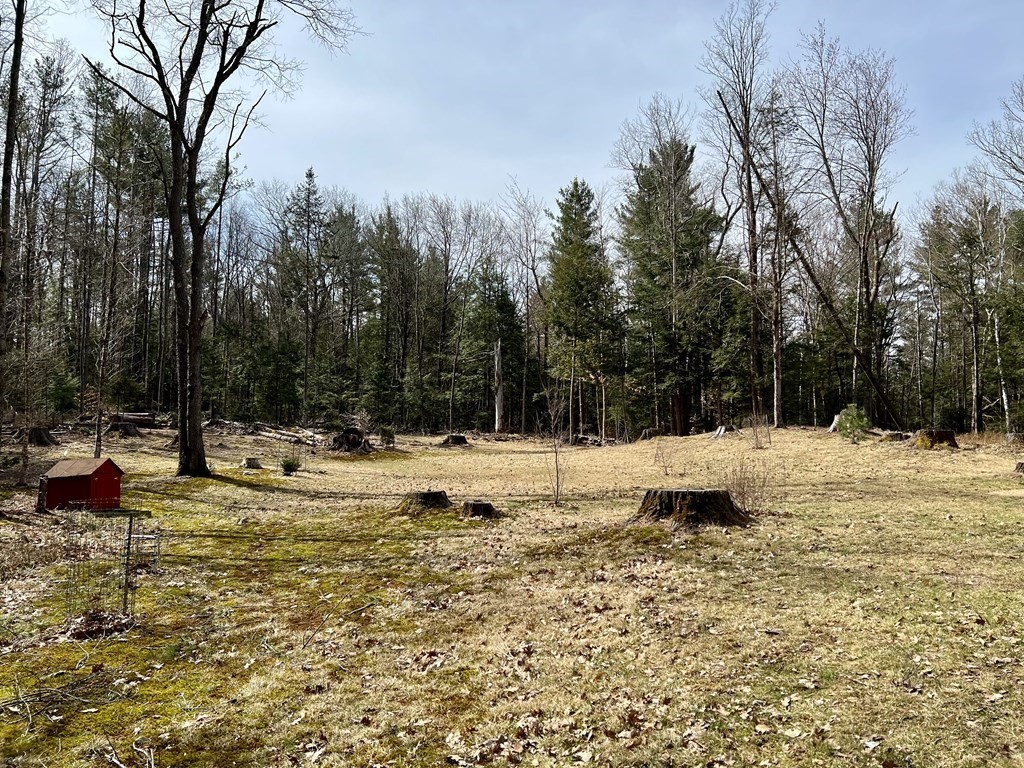 33 Old Cyrus Stage Road Rowe, MA 01367 - Photo 4 of 18
