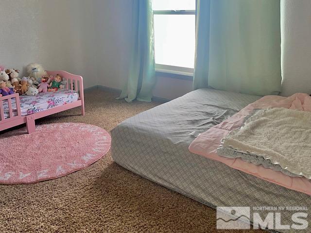 4180 Tarzyn Road Fallon, NV 89406 - Photo 11 of 12 Photo 11