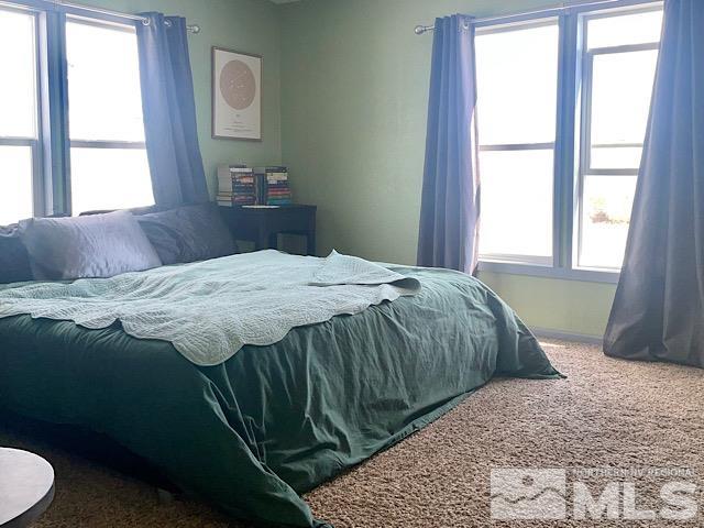 4180 Tarzyn Road Fallon, NV 89406 - Photo 10 of 12 Photo 10